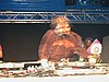 DSCN7801.JPG