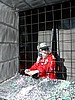 DSCN9990.JPG