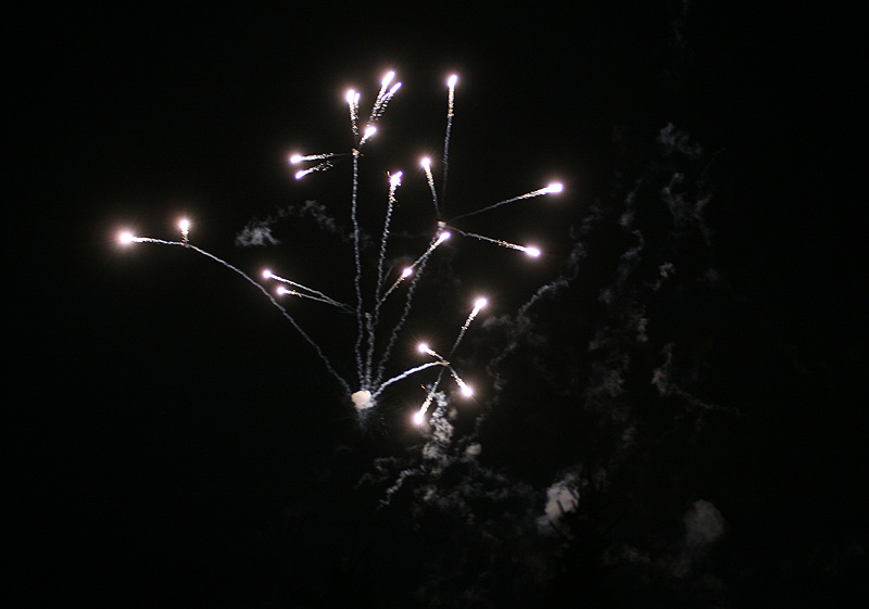 IMG_8311.jpg