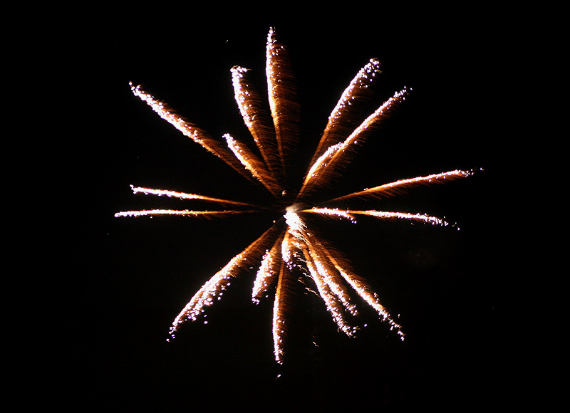 IMG_8330.jpg