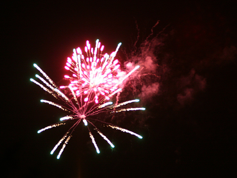 IMG_8347.jpg