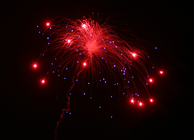 IMG_8356.jpg