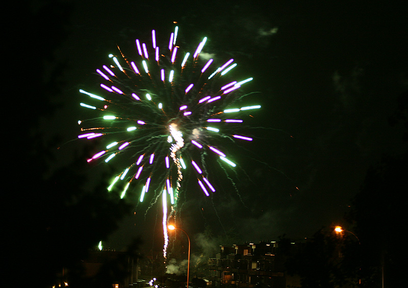 IMG_8366.jpg