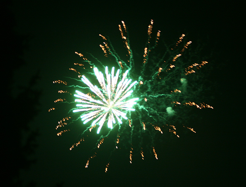 IMG_8369.jpg
