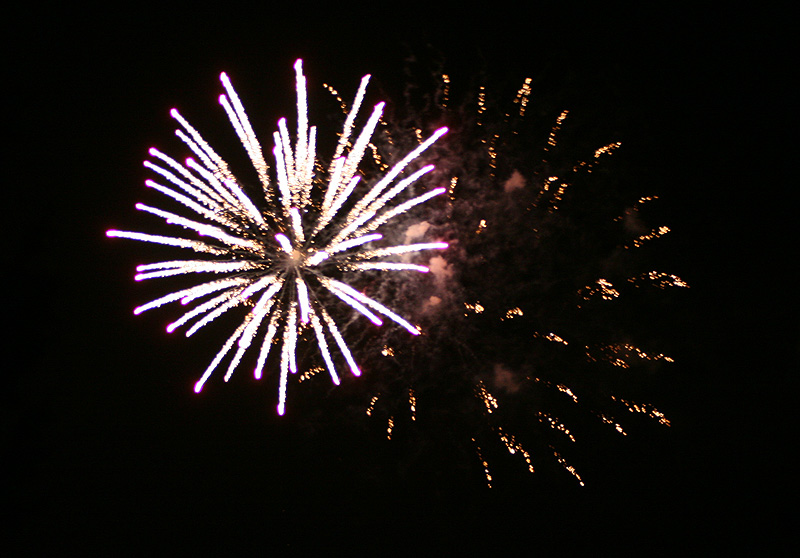 IMG_8378.jpg