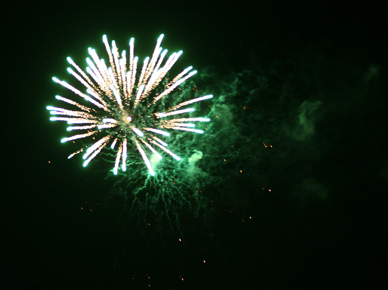 IMG_8381.jpg