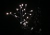 IMG_8311.jpg