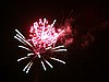 IMG_8347.jpg