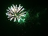 IMG_8381.jpg