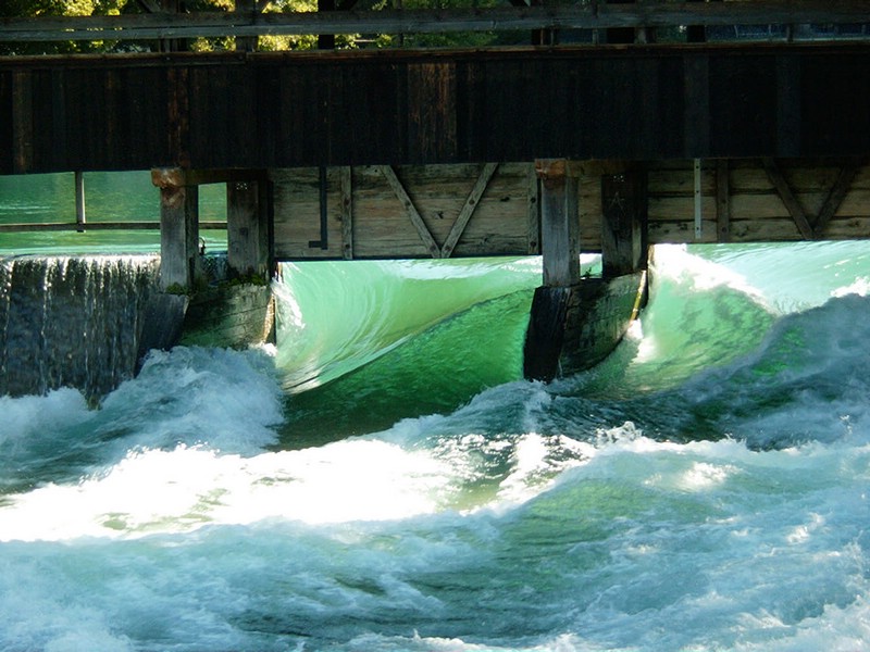 P0000050.JPG