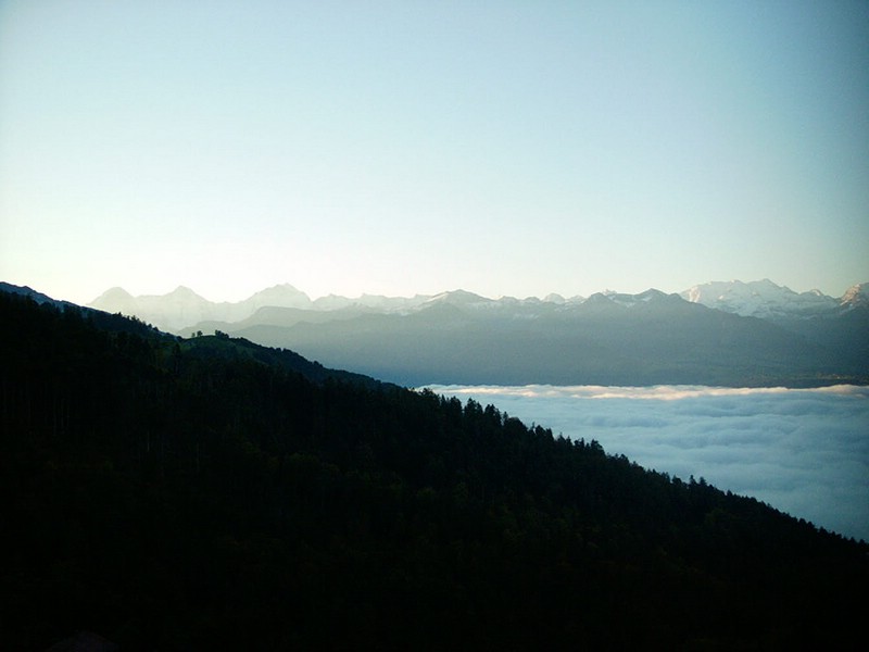 P0000056.JPG