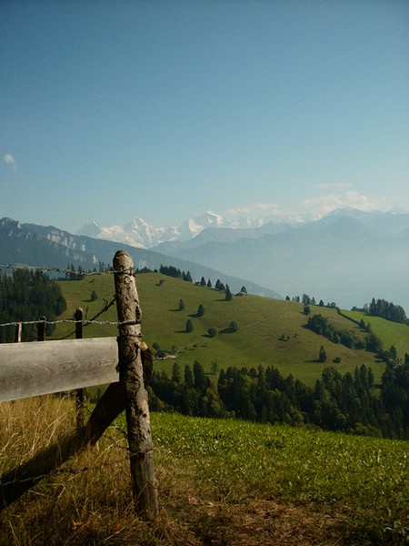P0000083.JPG