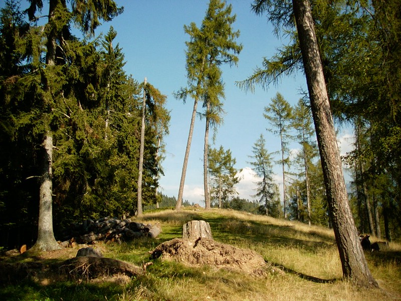 P0000084.JPG