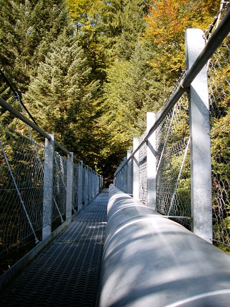 P0000091.JPG