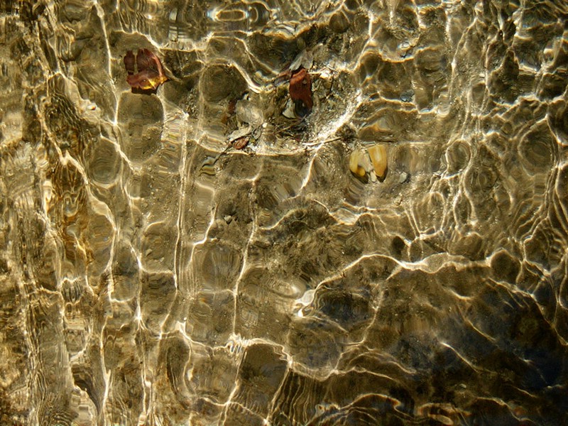 P0000097.JPG