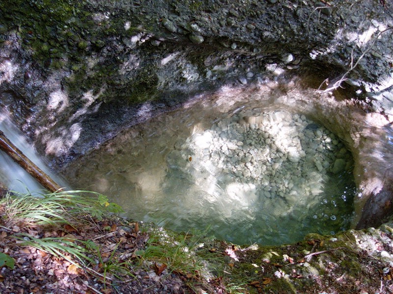 P0000101.JPG