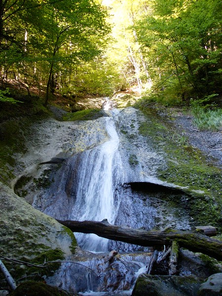 P0000106.JPG
