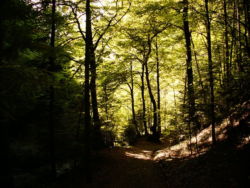 P0000107.JPG
