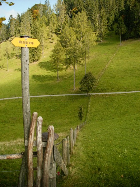 P0000154.JPG