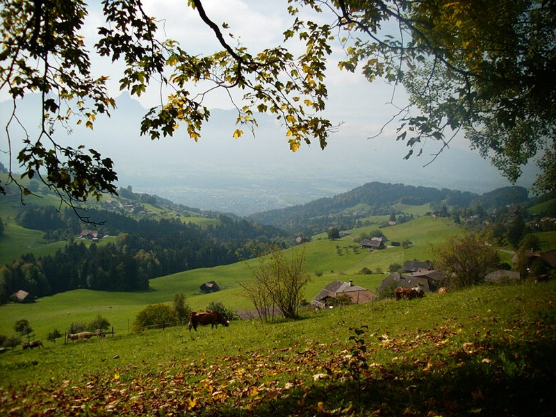 P0000156.JPG