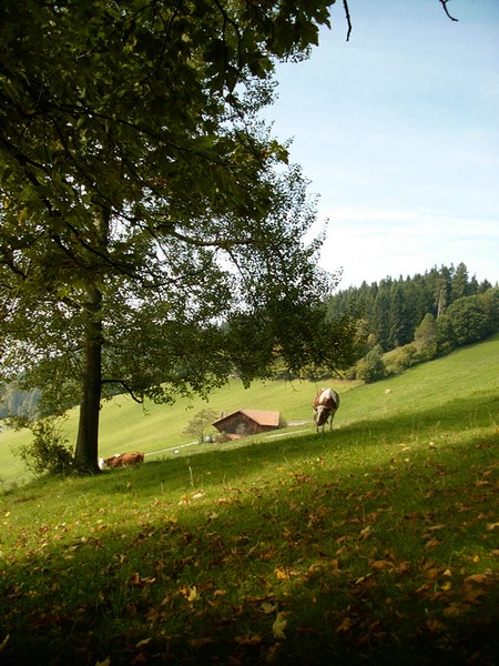 P0000157.JPG