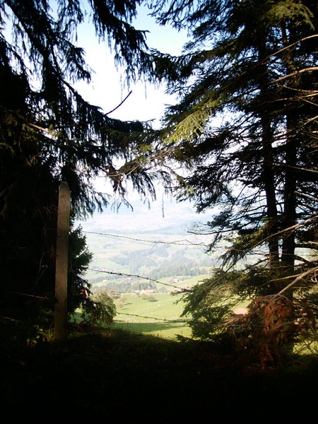 P0000158.JPG
