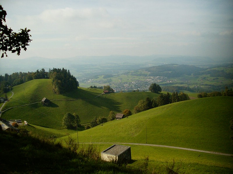 P0000159.JPG
