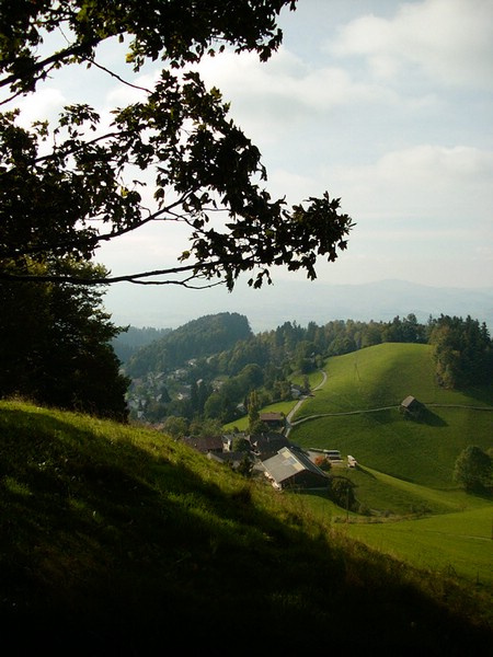 P0000161.JPG