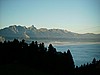 P0000063.JPG