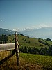 P0000083.JPG