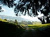 P0000085.JPG