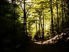 P0000107.JPG