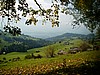 P0000156.JPG