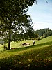 P0000157.JPG