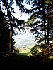 P0000158.JPG