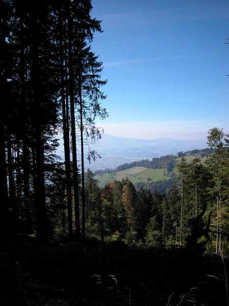 DSCN9011.JPG