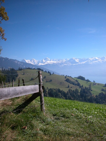 DSCN9012.JPG