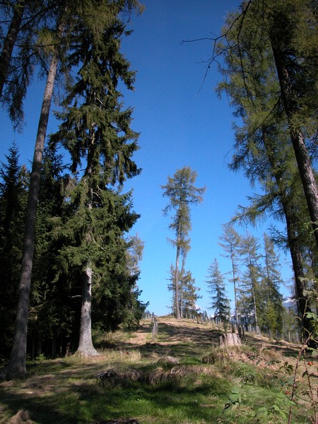 DSCN9020.JPG