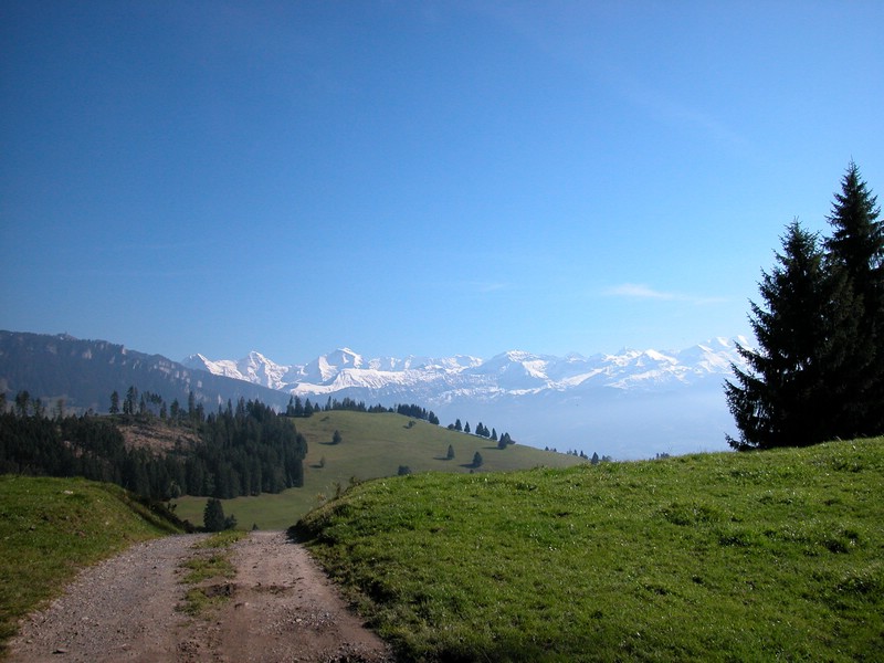 DSCN9025.JPG