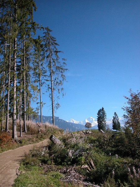 DSCN9032.JPG