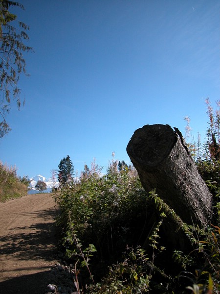 DSCN9034.JPG