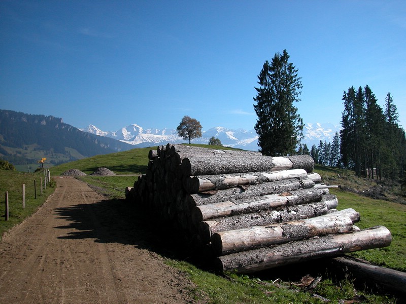 DSCN9035.JPG