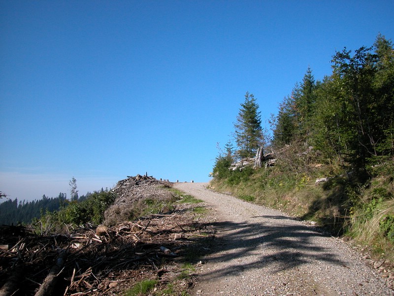 DSCN9040.JPG