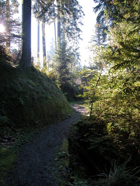 DSCN9045.JPG