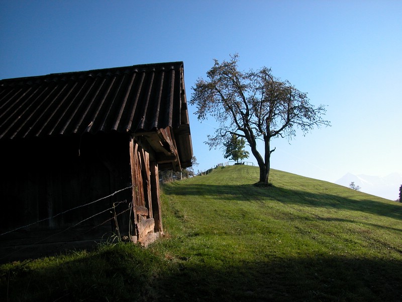 DSCN9050.JPG