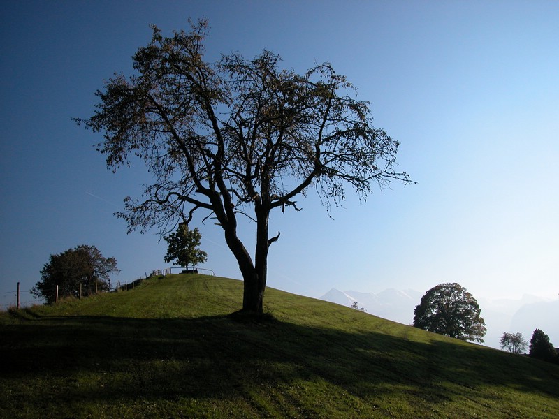 DSCN9051.JPG