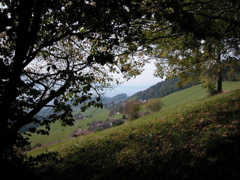 DSCN9071.JPG