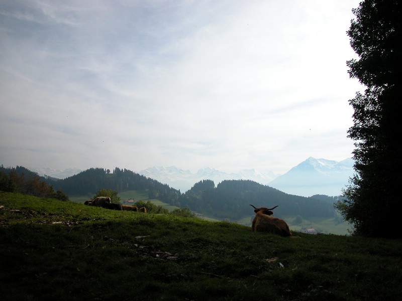 DSCN9093.JPG