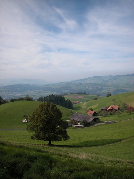 DSCN9099.JPG