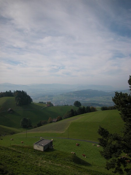 DSCN9102.JPG